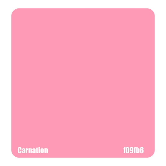 Carnation