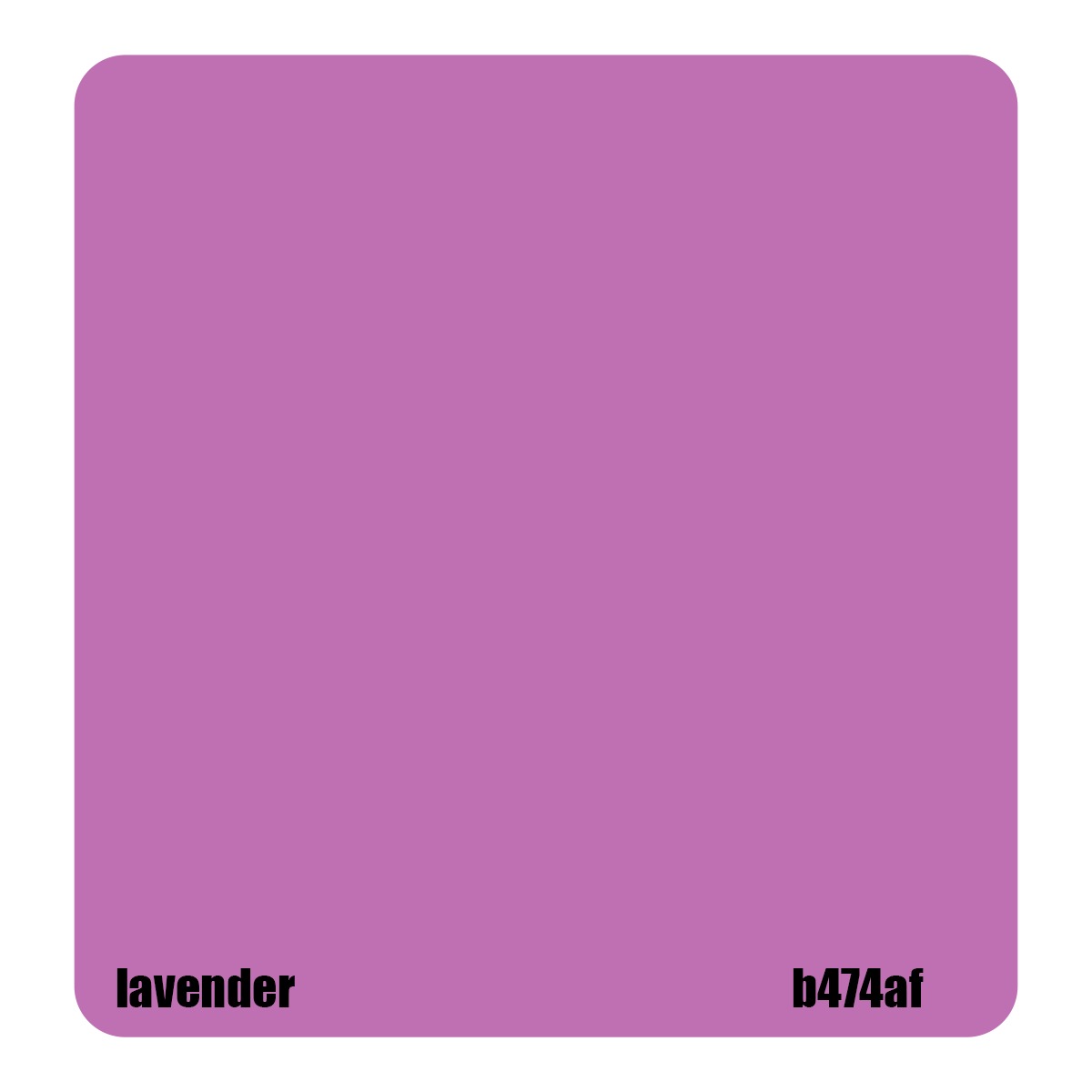 Lavender
